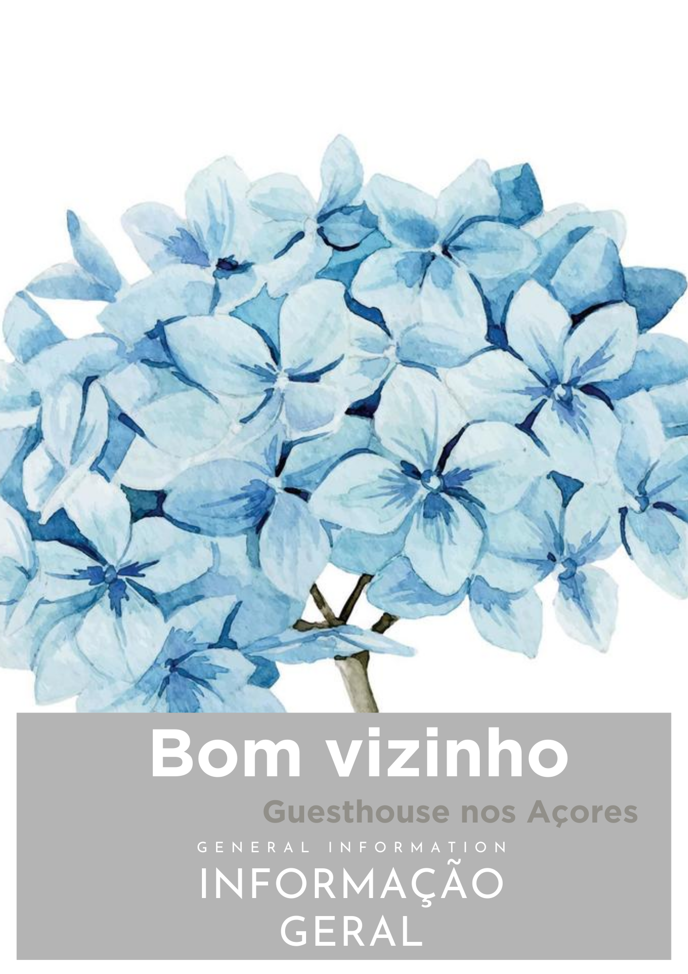 Bom Vizinho guest information graphic with blue floral artwork